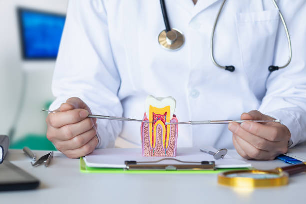 Best Dentist for Tooth Abscess  in Navasota, TX